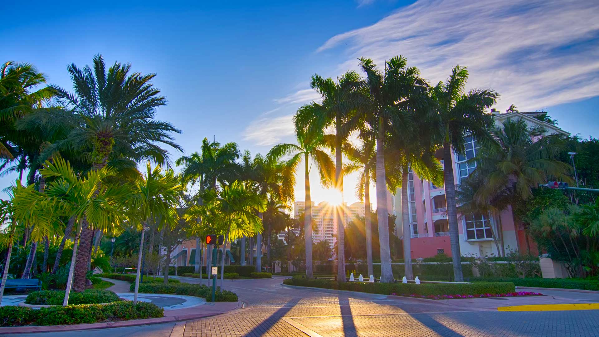 Chiropractic Weston Florida